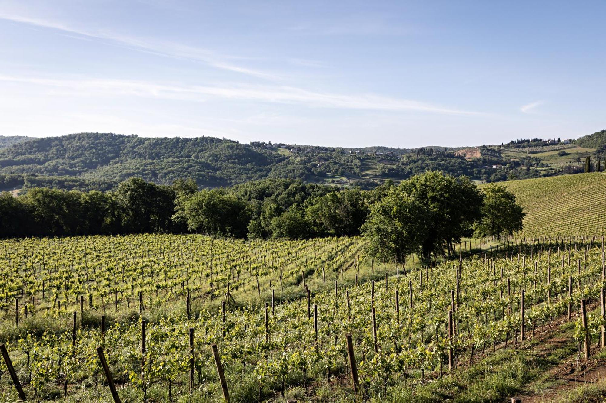 Pieve Aldina Relais & Chateaux Radda in Chianti Εξωτερικό φωτογραφία